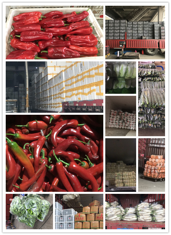 首页| 402cc永利集团中国区官方网站