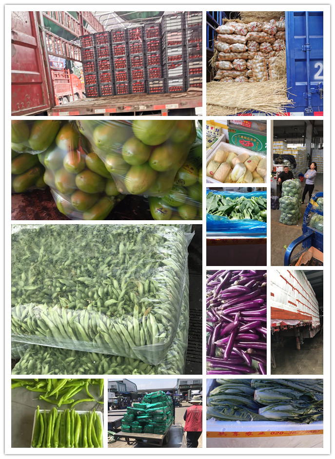 首页| 402cc永利集团中国区官方网站