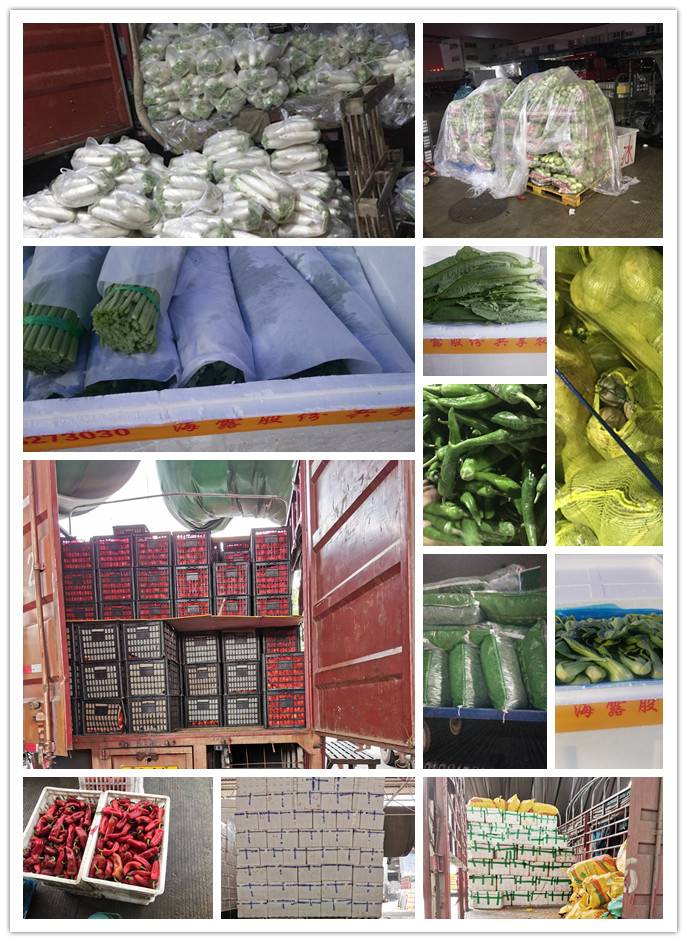 首页| 402cc永利集团中国区官方网站