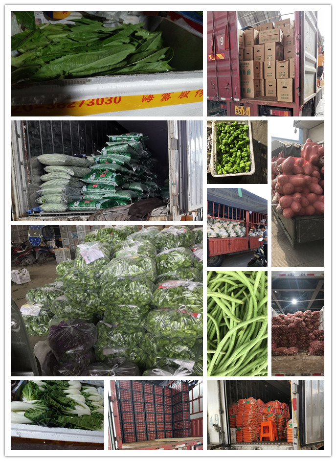 首页| 402cc永利集团中国区官方网站