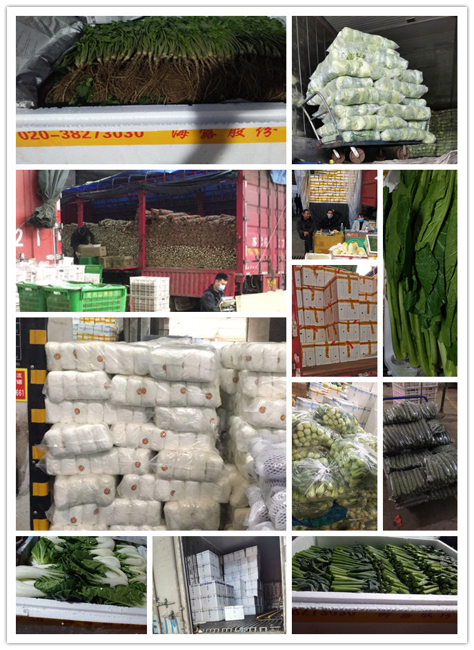 首页| 402cc永利集团中国区官方网站