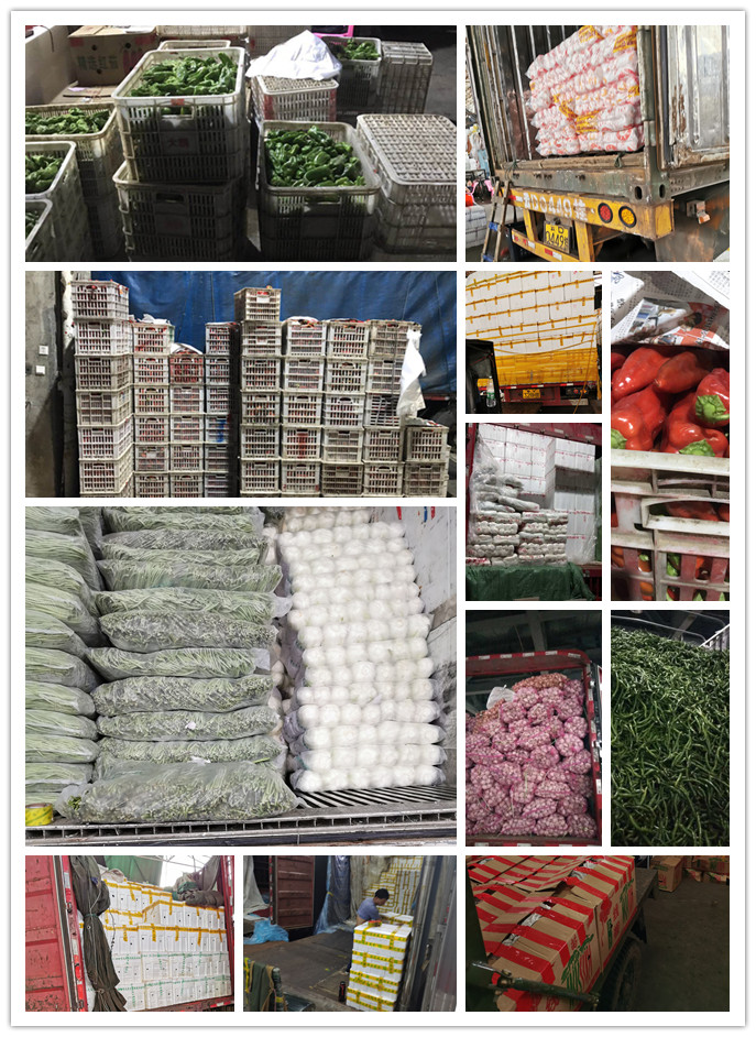 首页| 402cc永利集团中国区官方网站