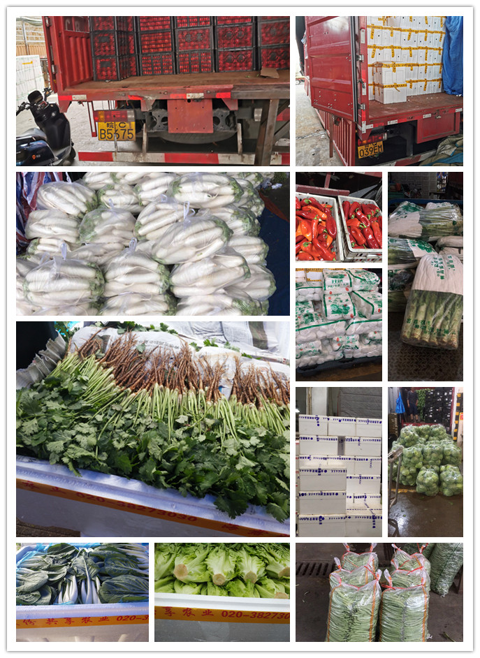 首页| 402cc永利集团中国区官方网站