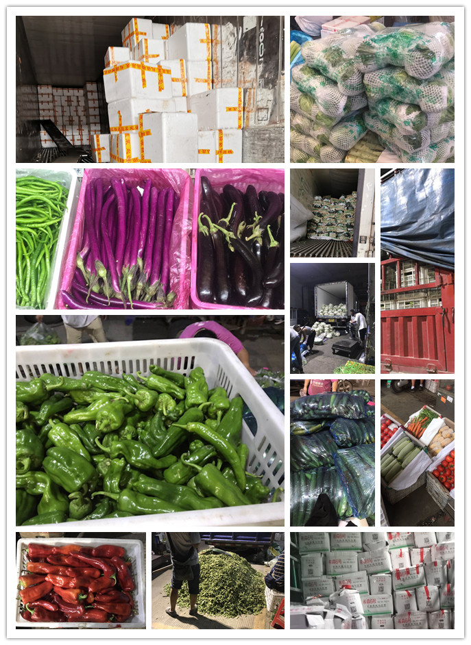 首页| 402cc永利集团中国区官方网站