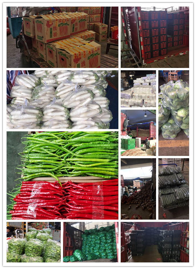 首页| 402cc永利集团中国区官方网站