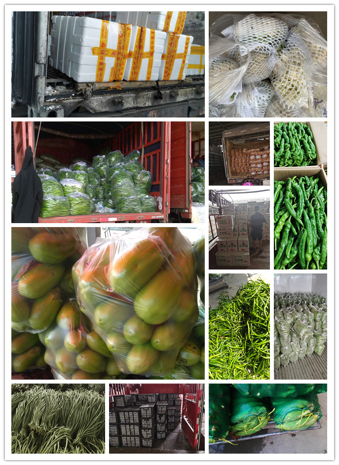 首页| 402cc永利集团中国区官方网站