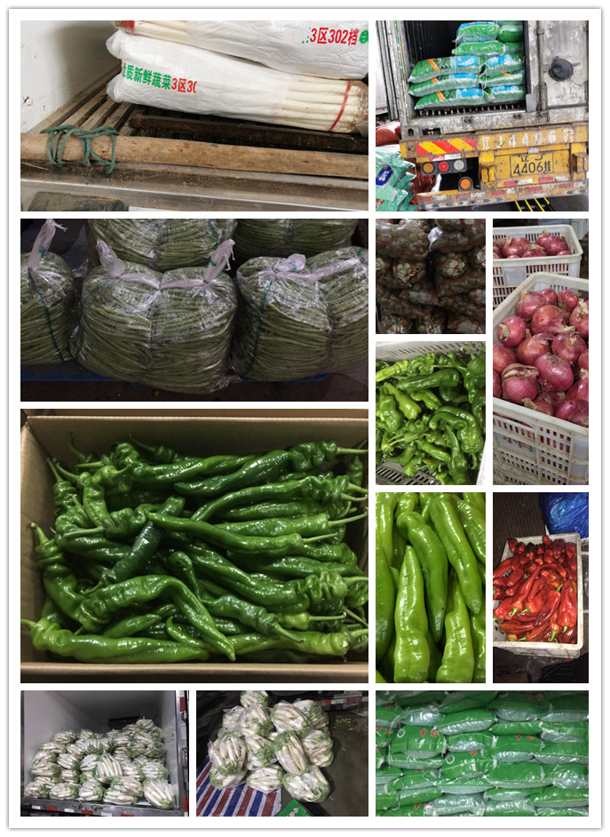 首页| 402cc永利集团中国区官方网站