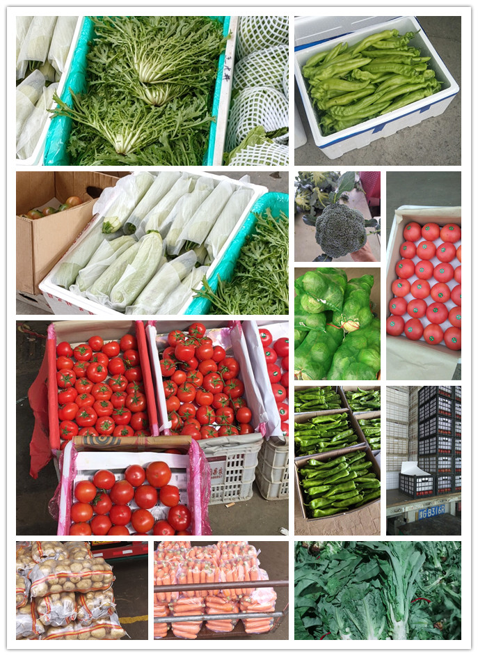 首页| 402cc永利集团中国区官方网站