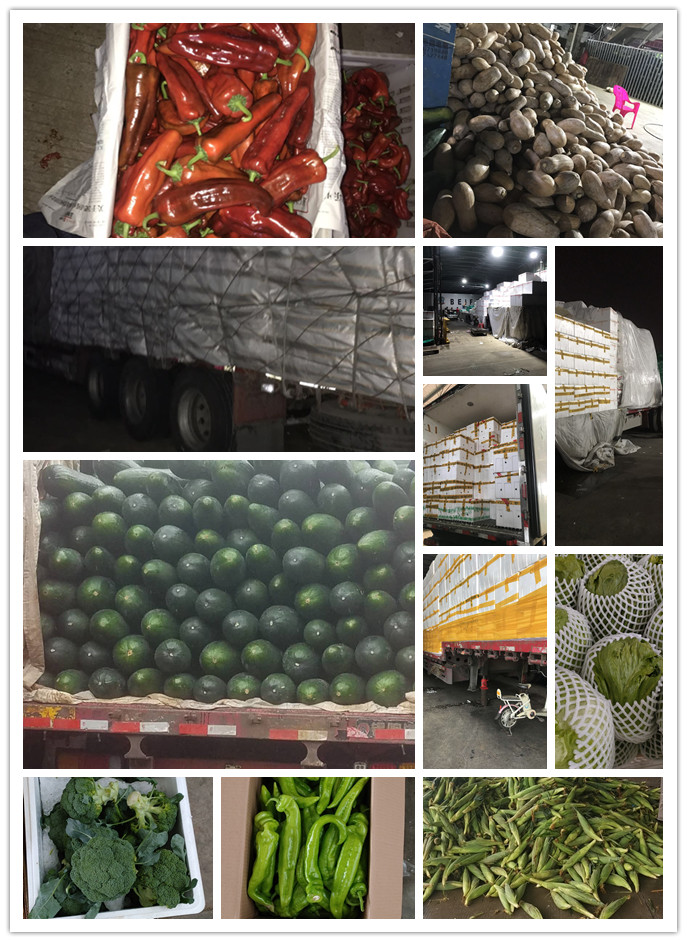 首页| 402cc永利集团中国区官方网站