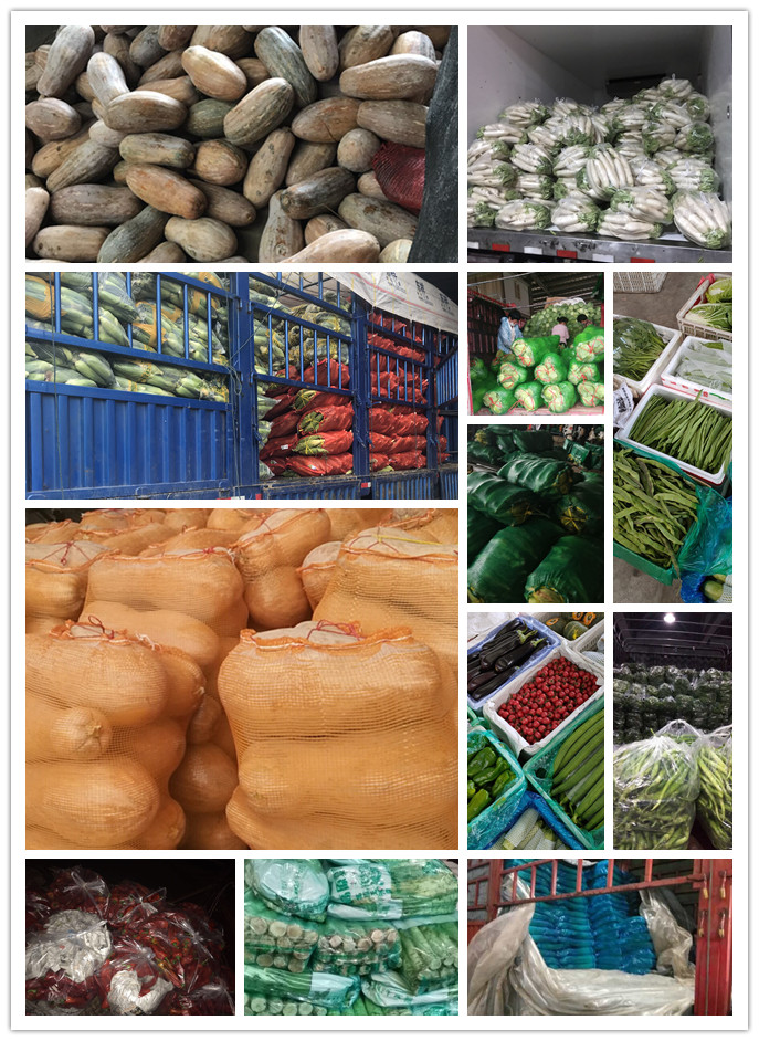 首页| 402cc永利集团中国区官方网站