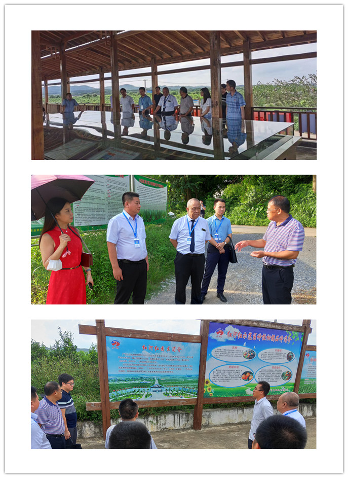 首页| 402cc永利集团中国区官方网站