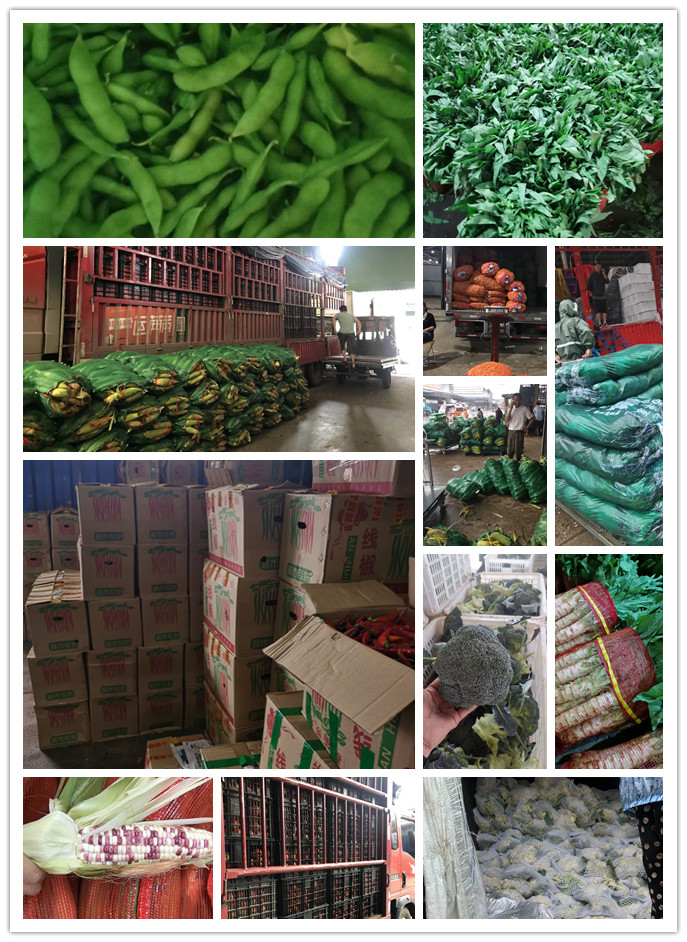 首页| 402cc永利集团中国区官方网站