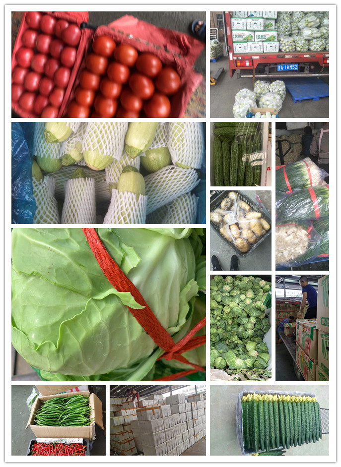 首页| 402cc永利集团中国区官方网站