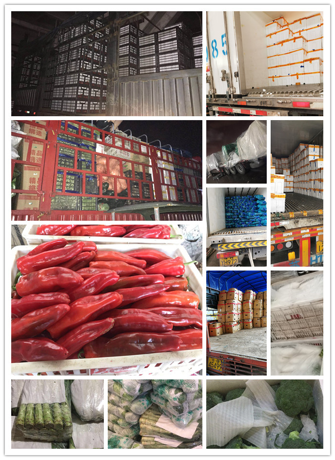 首页| 402cc永利集团中国区官方网站