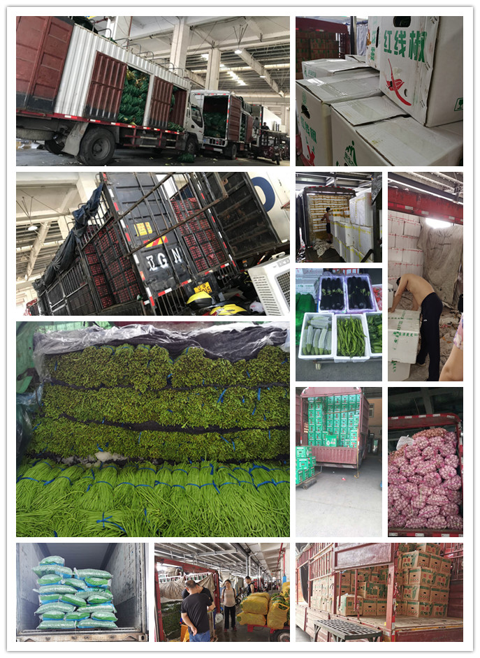 首页| 402cc永利集团中国区官方网站