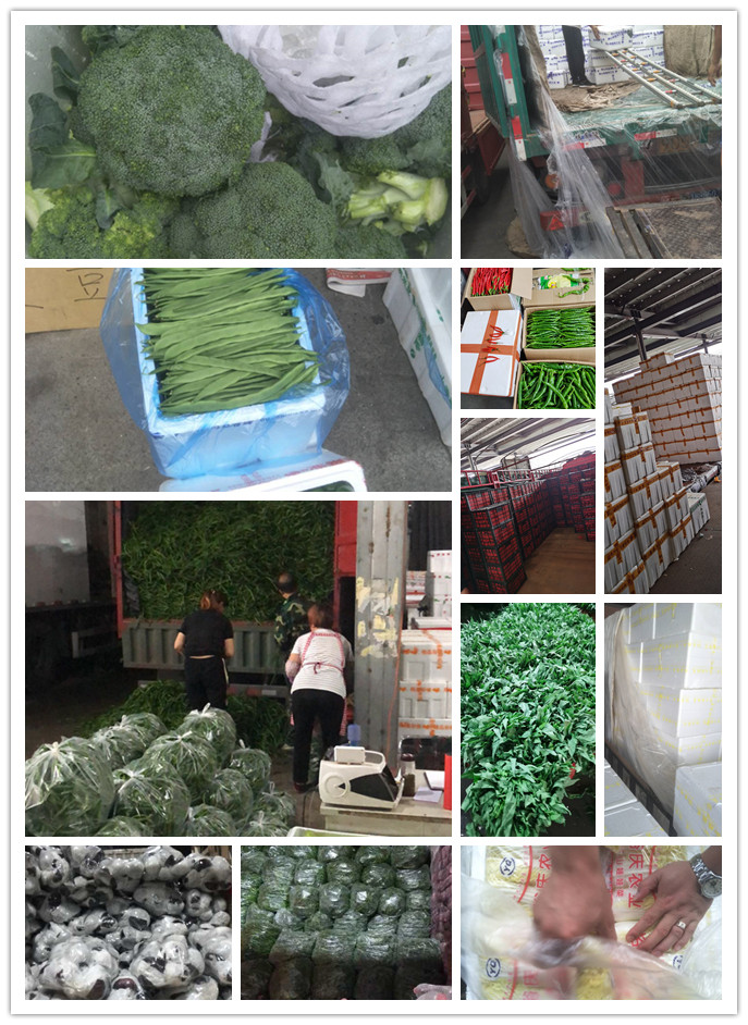 首页| 402cc永利集团中国区官方网站