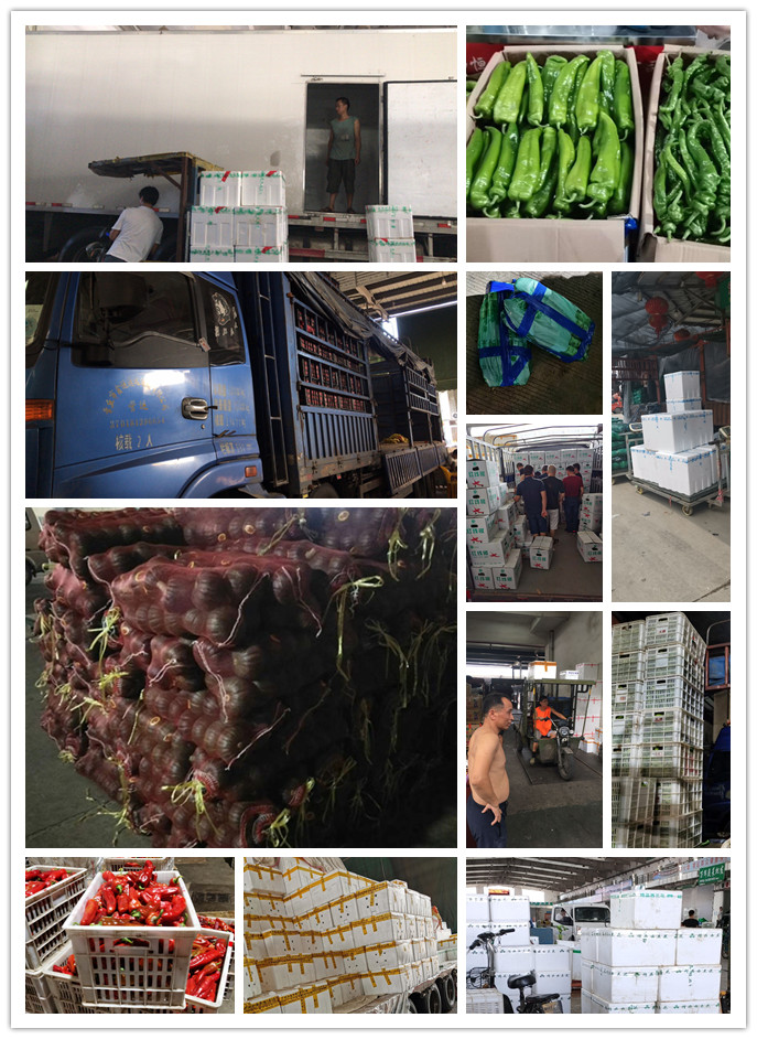 首页| 402cc永利集团中国区官方网站