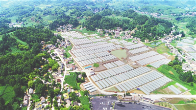 首页| 402cc永利集团中国区官方网站