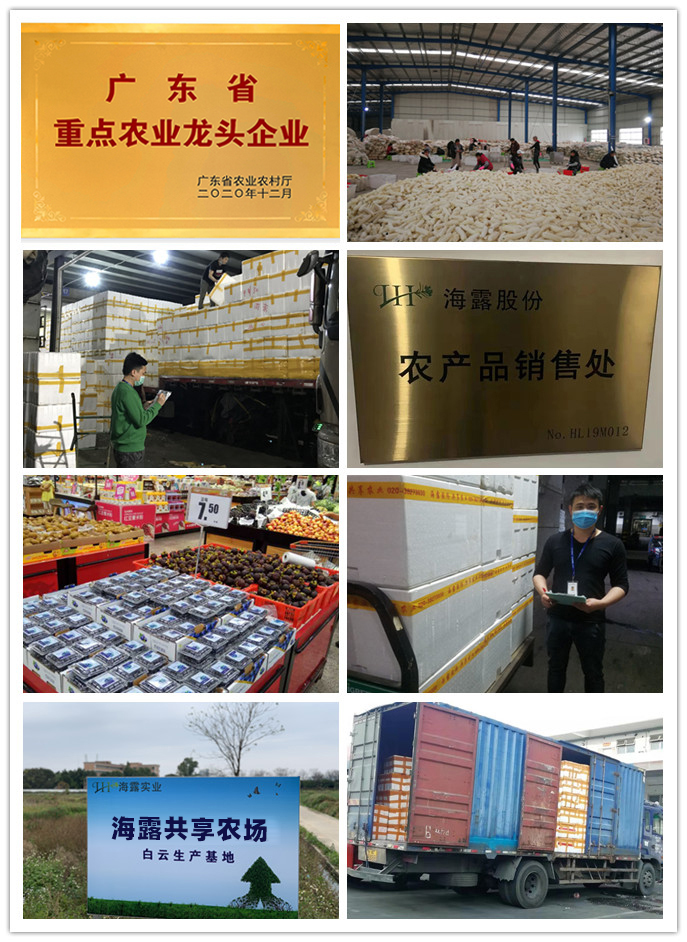 首页| 402cc永利集团中国区官方网站