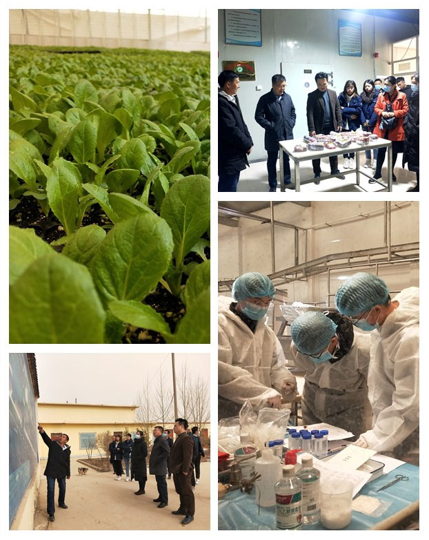 首页| 402cc永利集团中国区官方网站