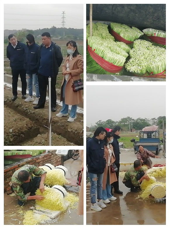 首页| 402cc永利集团中国区官方网站