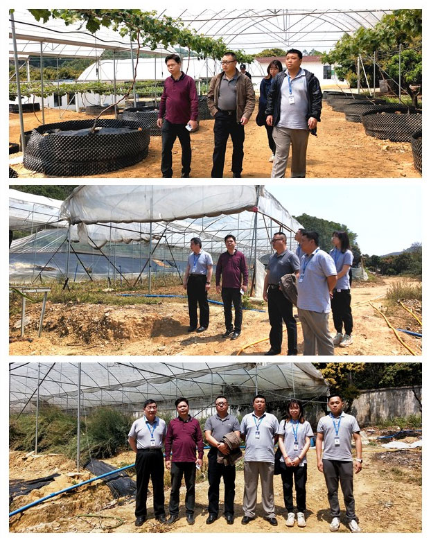 首页| 402cc永利集团中国区官方网站