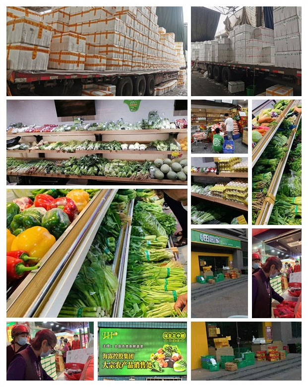 首页| 402cc永利集团中国区官方网站