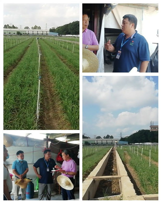 首页| 402cc永利集团中国区官方网站