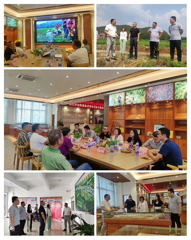 首页| 402cc永利集团中国区官方网站