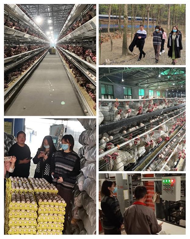 首页| 402cc永利集团中国区官方网站