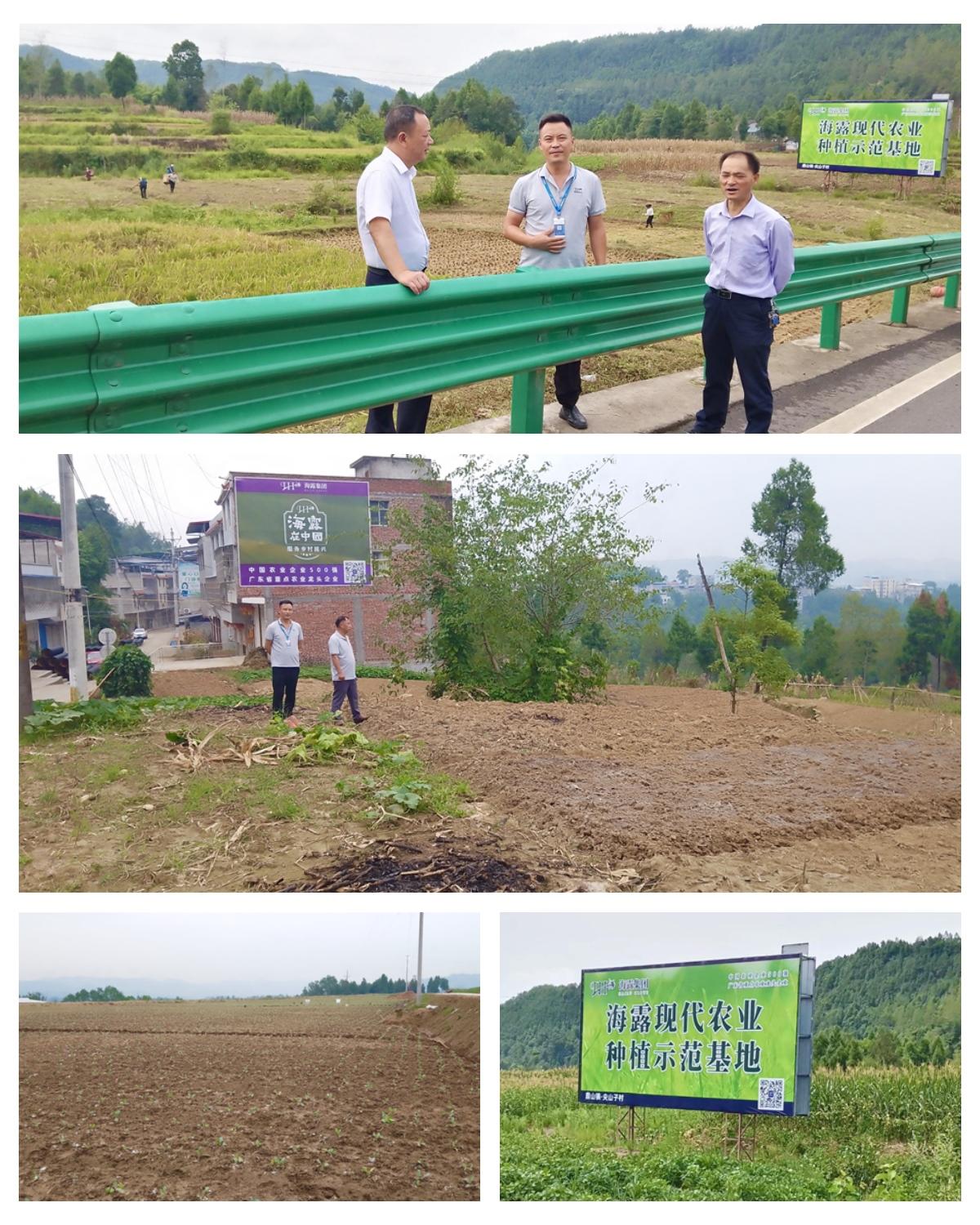 首页| 402cc永利集团中国区官方网站