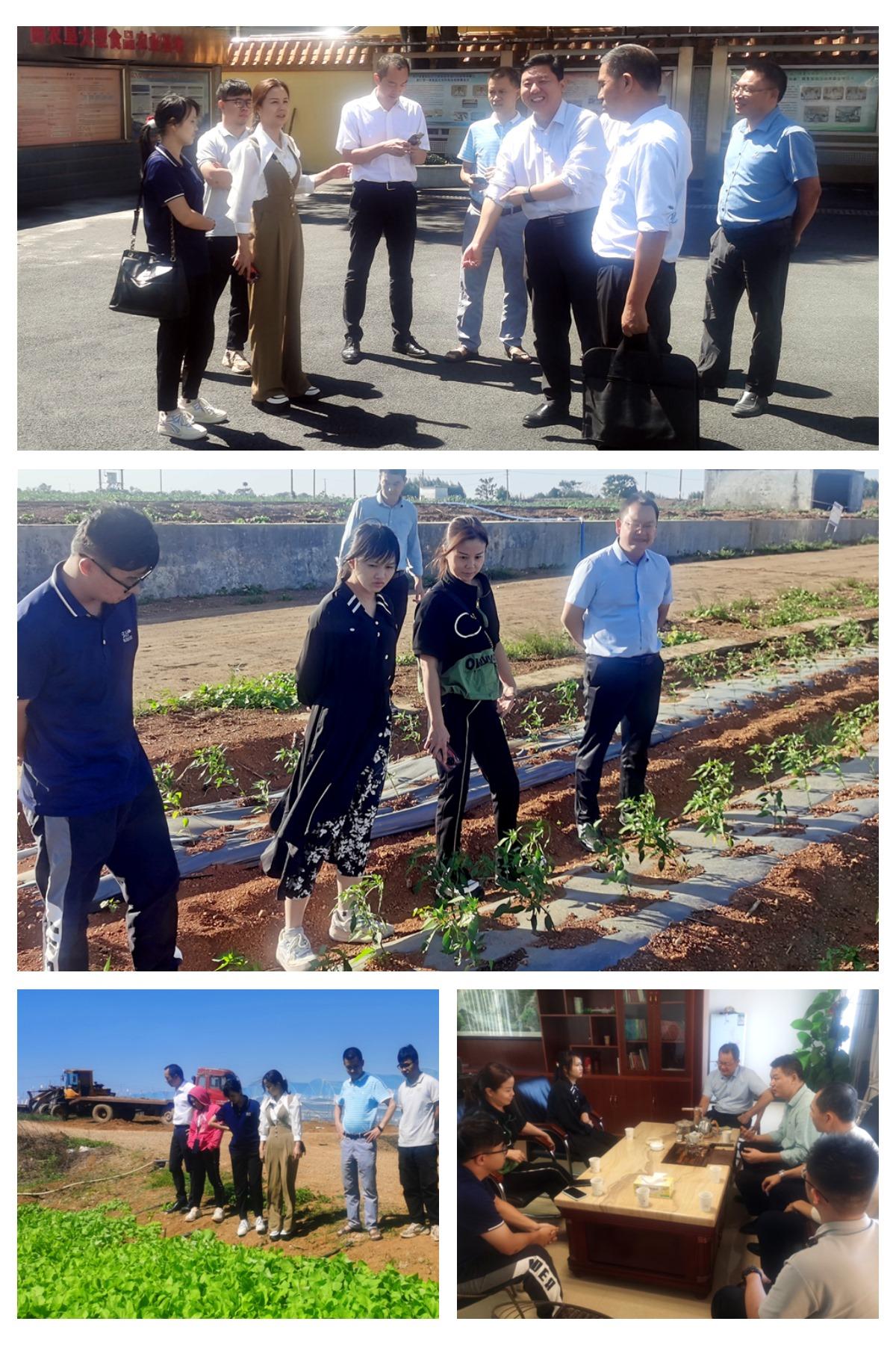 首页| 402cc永利集团中国区官方网站