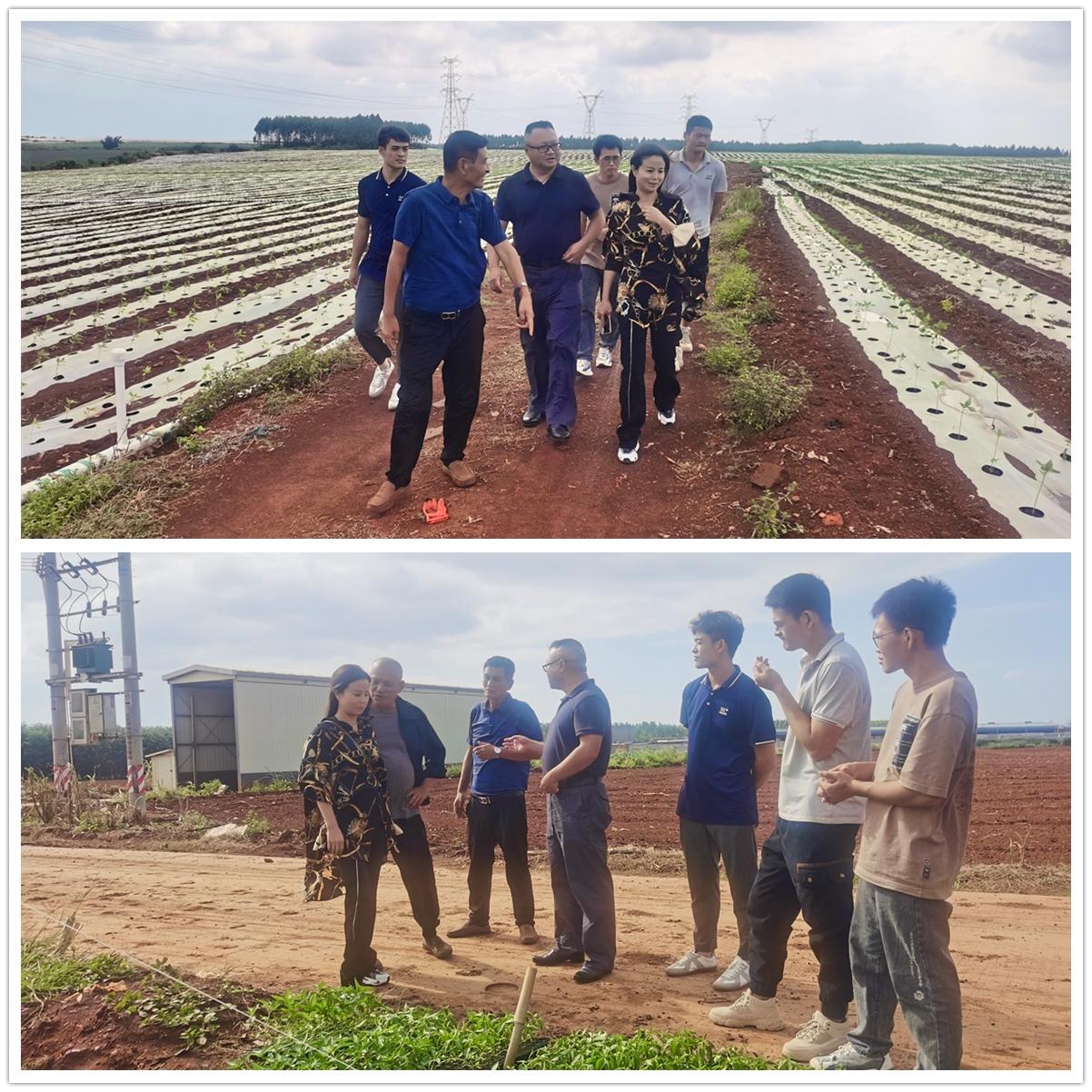 首页| 402cc永利集团中国区官方网站