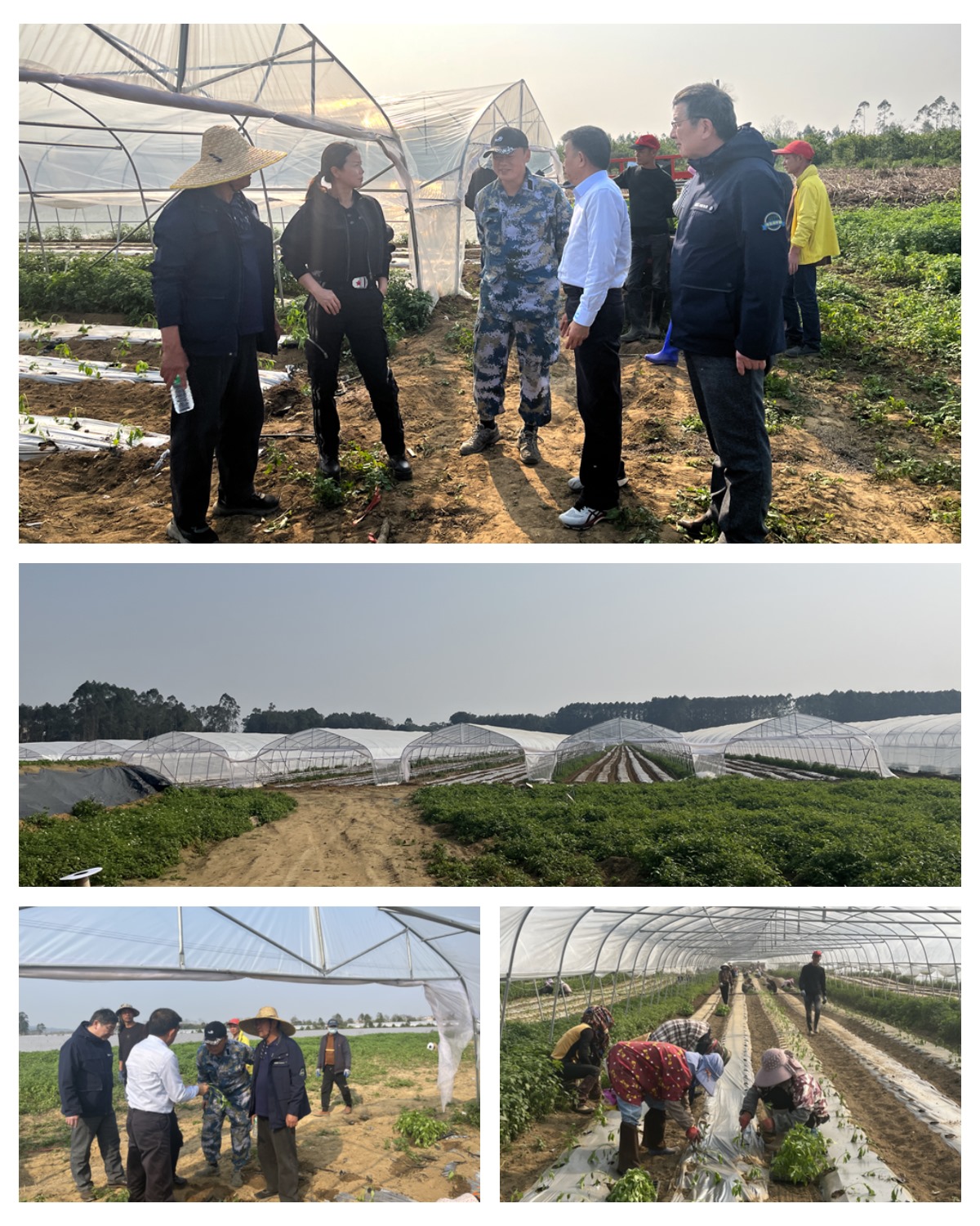 首页| 402cc永利集团中国区官方网站