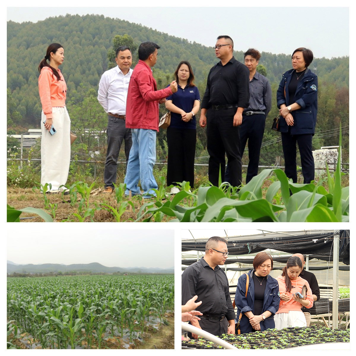 首页| 402cc永利集团中国区官方网站