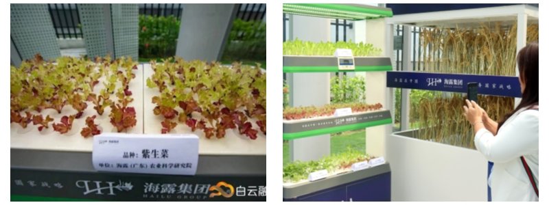 首页| 402cc永利集团中国区官方网站