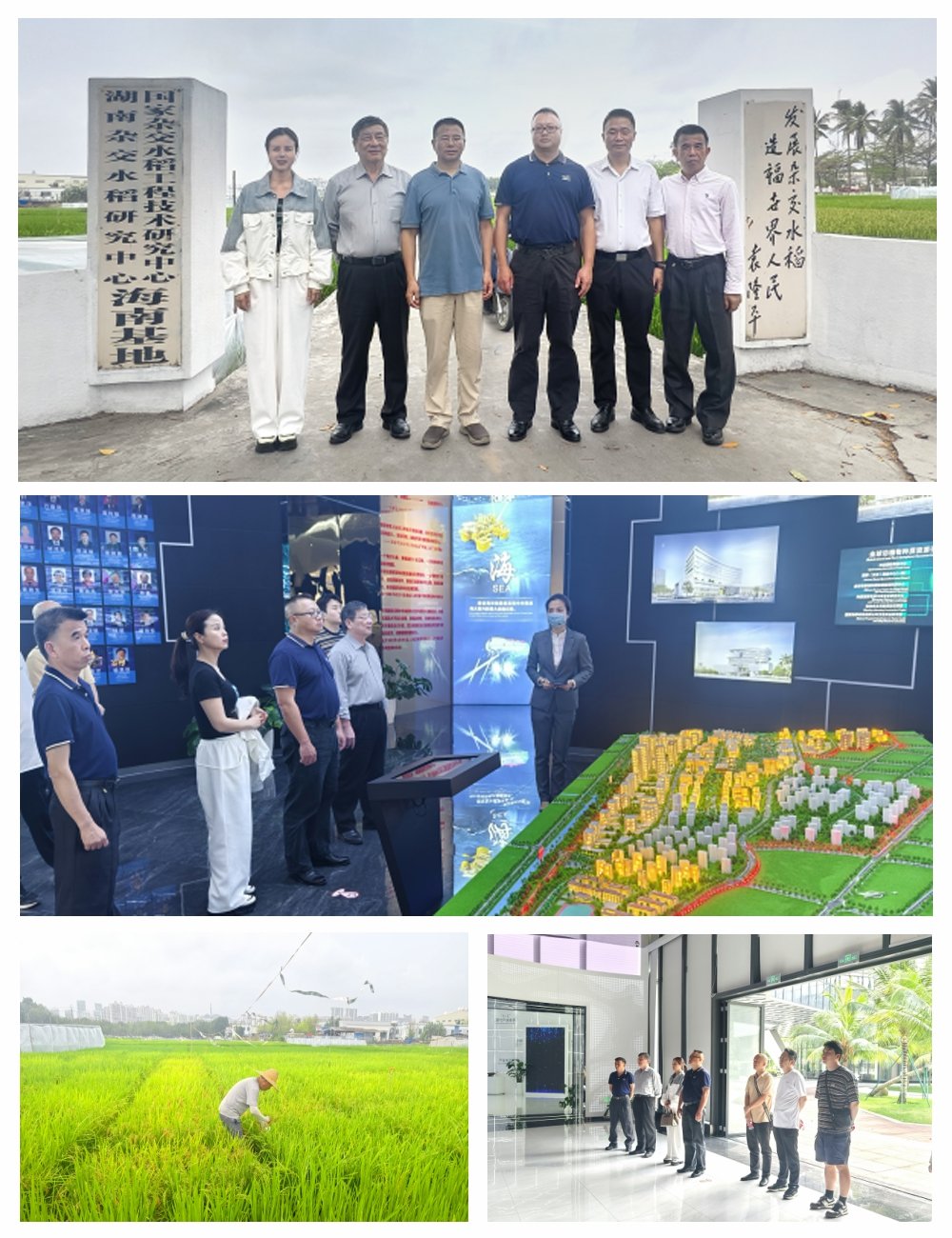 首页| 402cc永利集团中国区官方网站