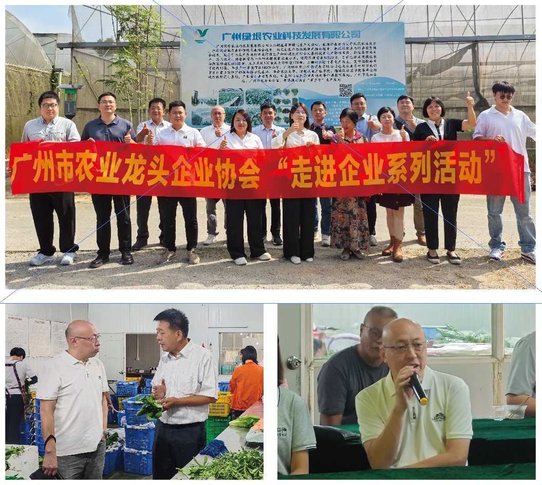 首页| 402cc永利集团中国区官方网站