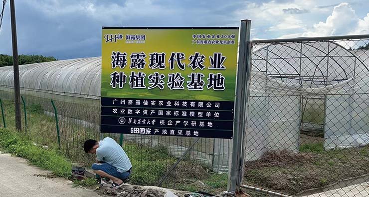 首页| 402cc永利集团中国区官方网站