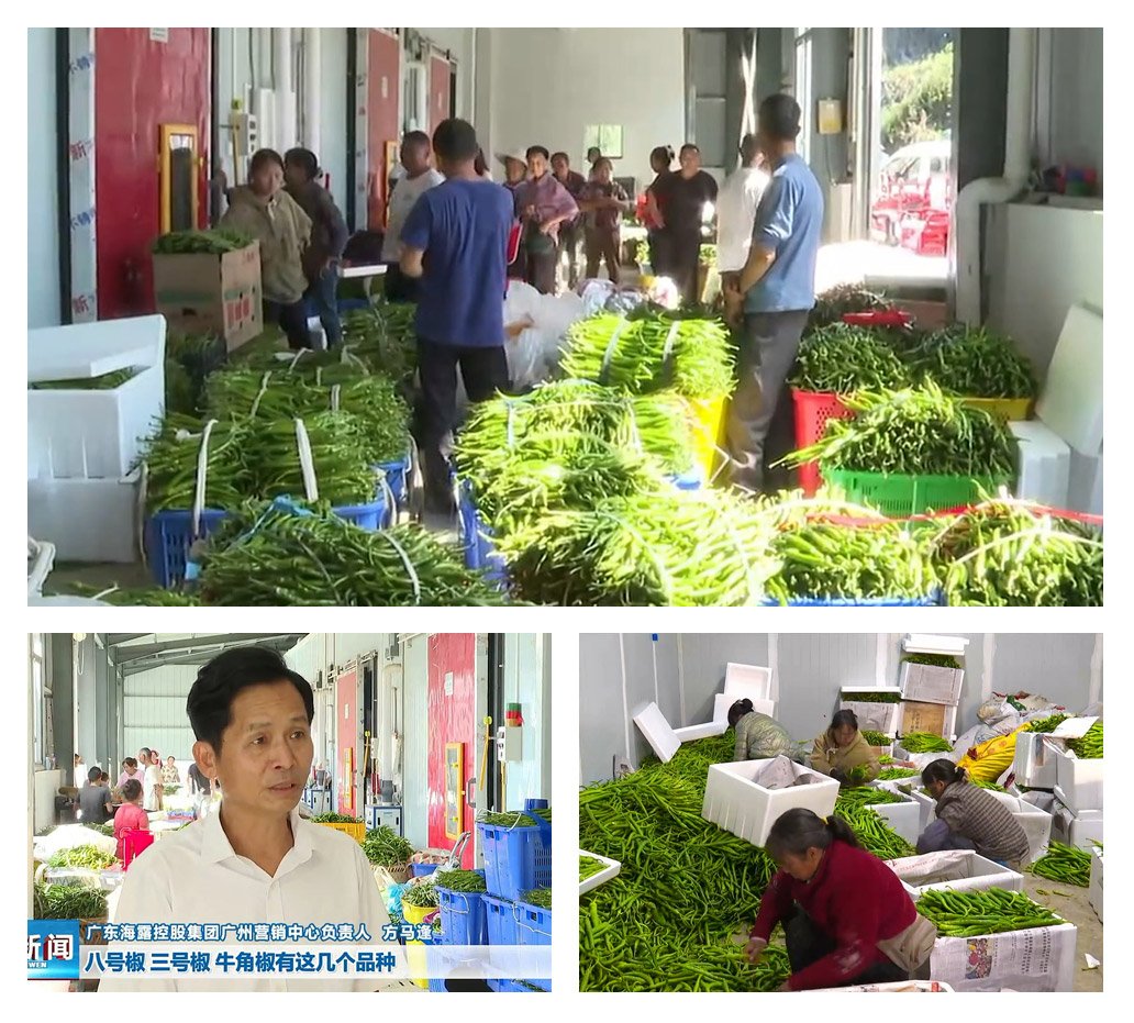 首页| 402cc永利集团中国区官方网站