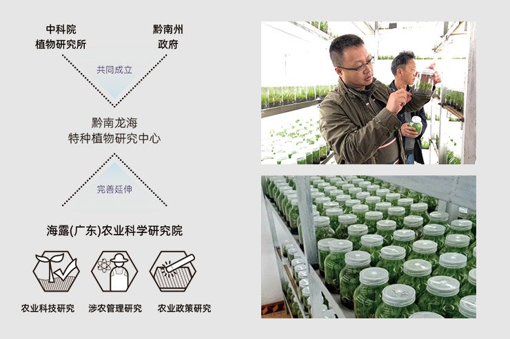 首页| 402cc永利集团中国区官方网站