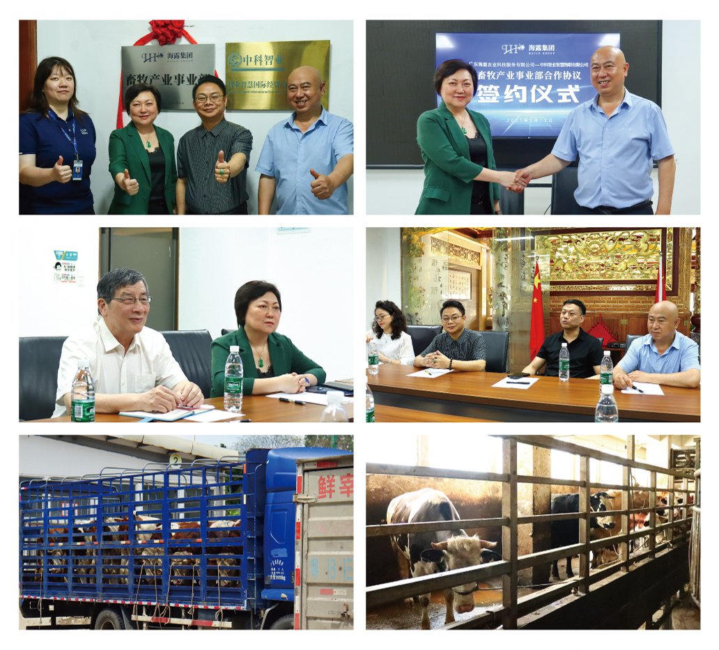 首页| 402cc永利集团中国区官方网站