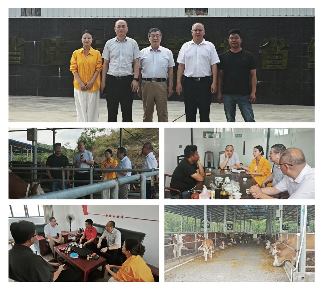 首页| 402cc永利集团中国区官方网站