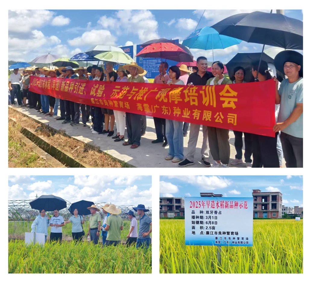 首页| 402cc永利集团中国区官方网站