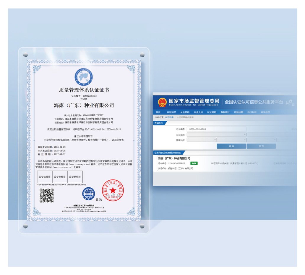 首页| 402cc永利集团中国区官方网站