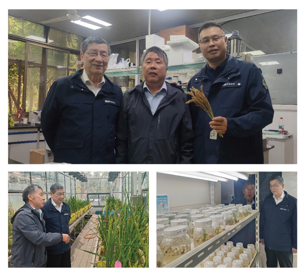 首页| 402cc永利集团中国区官方网站